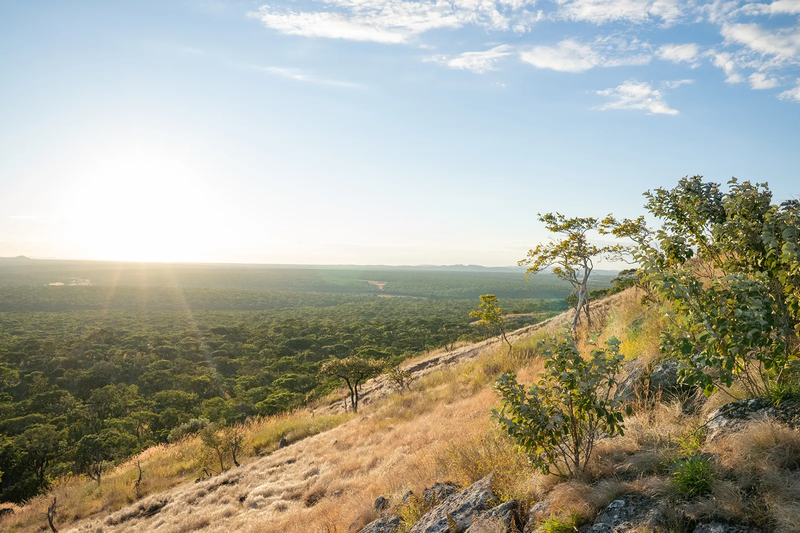 Mutinondo Wilderness landscape