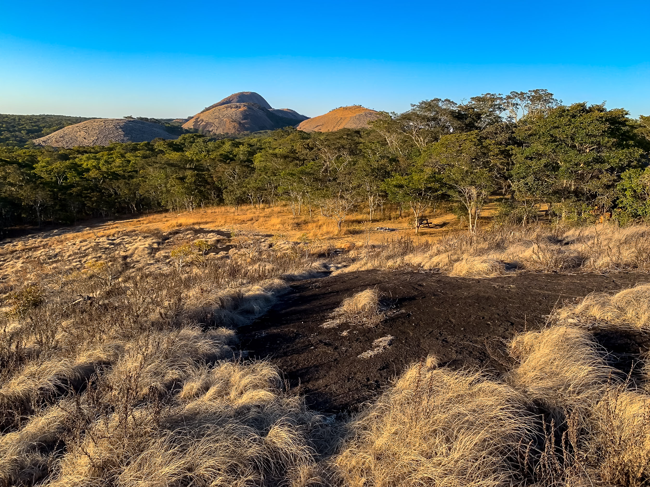 Wildlife at Mutinondo