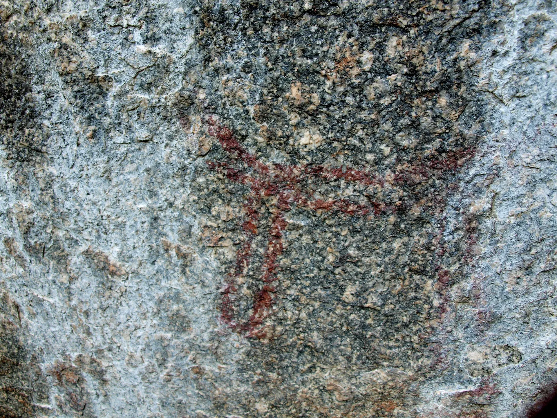 History and Prehistory