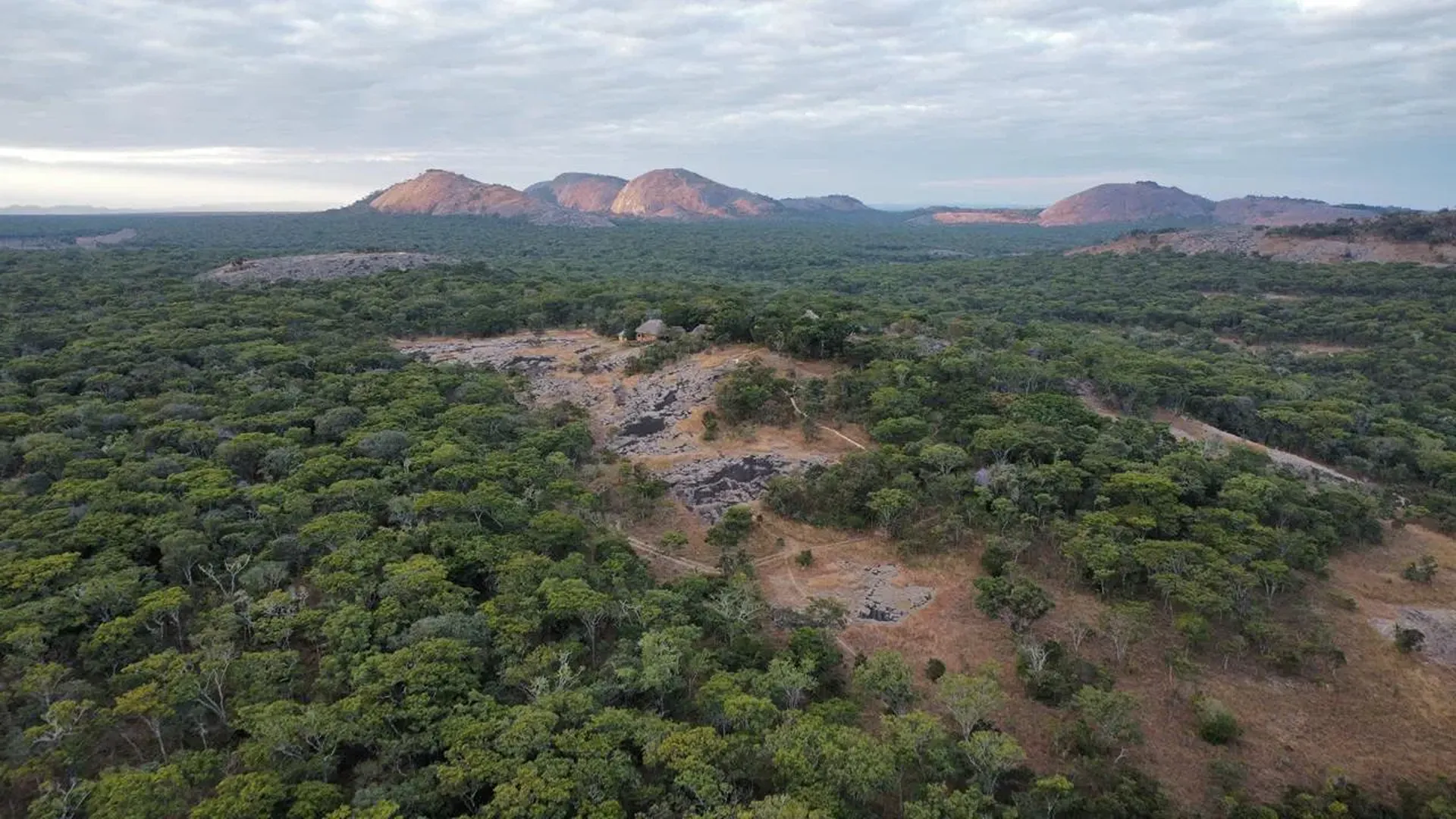 Inselbergs: Geology and Formation