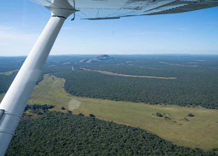 Aerial view of miombo woodland on the flight to Mutinondo