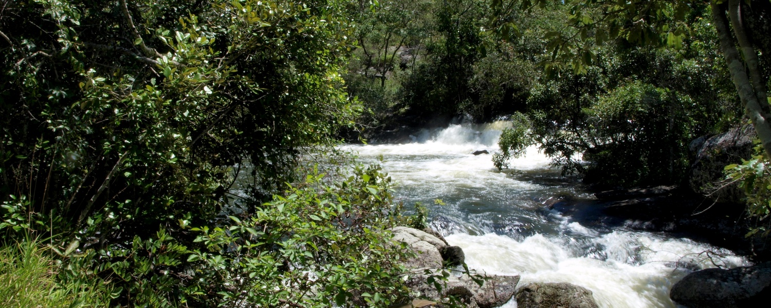 Beautiful streams, rapids and falls